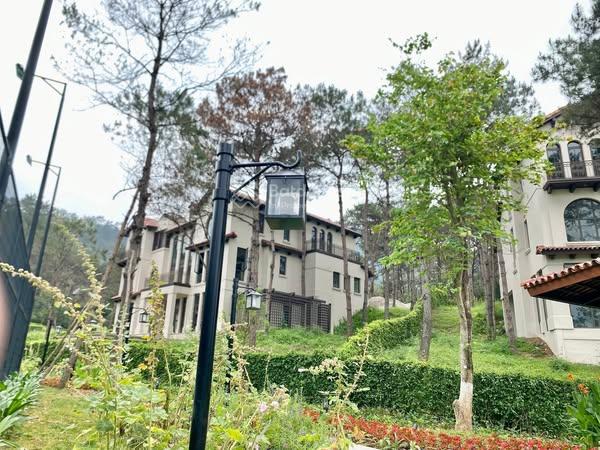 BÁN biệt thự nghỉ dưỡng đồi thông - view hồ Thung Lũng Thanh Xuân - Ngọc Thanh - Vĩnh Phúc