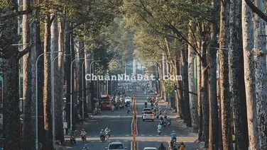 Bán tòa nhà mặt tiền Bình Thới, P. 10, Quận 11, DT: 7m x 14m, 5 lầu thang máy giá 28 tỷ