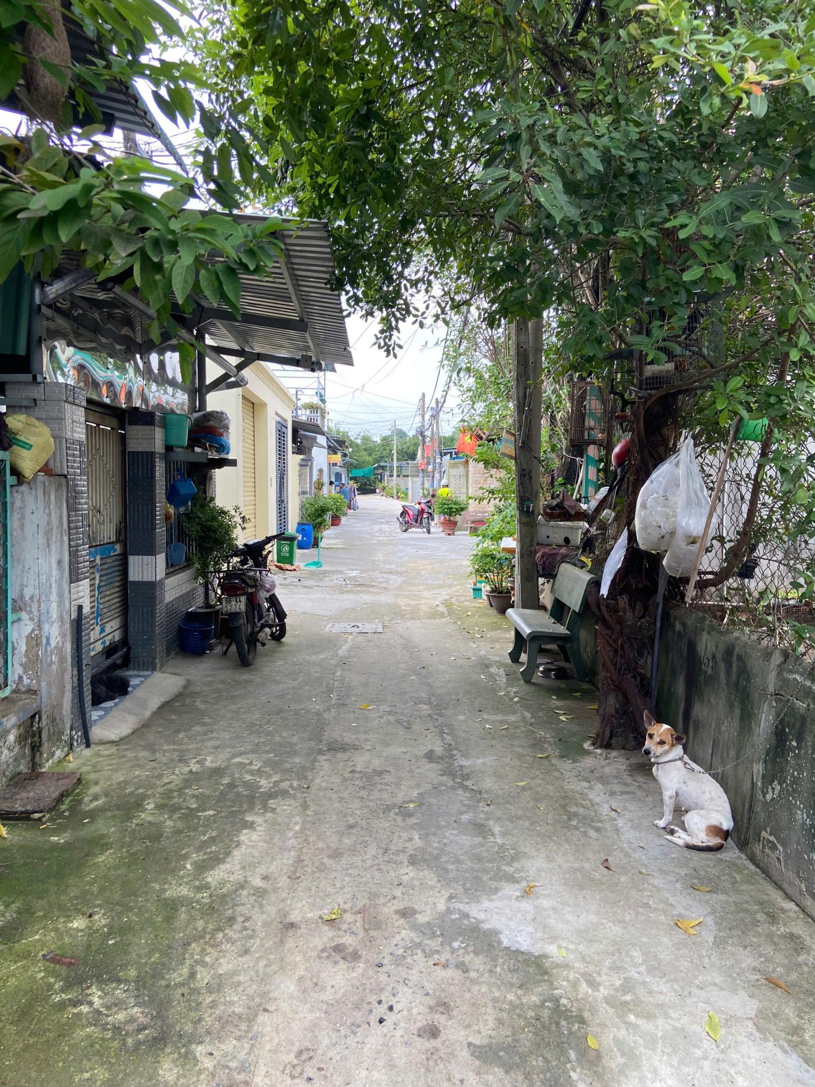 Bán 876m2 đất nông nghiệp, 10tr/m2, tại cách MT đường Bùi Thị Lùng 25m