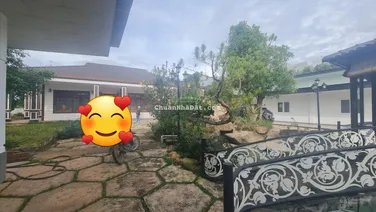 Siêu phẩm! Farm 3ha ở nghỉ dưỡng kết hợp làm nông nghiệp công nghệ cao, đường 8m ngang 100m 65tỷ