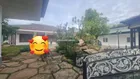 Siêu phẩm! Farm 3ha ở nghỉ dưỡng kết hợp làm nông nghiệp công nghệ cao, đường 8m ngang 100m 65tỷ