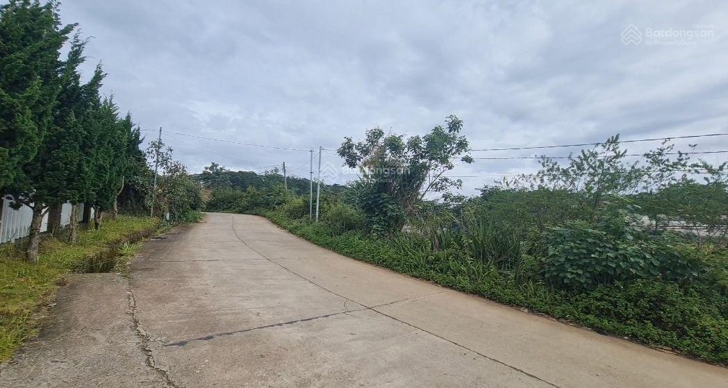 Siêu phẩm! Farm 3ha ở nghỉ dưỡng kết hợp làm nông nghiệp công nghệ cao, đường 8m ngang 100m 65tỷ