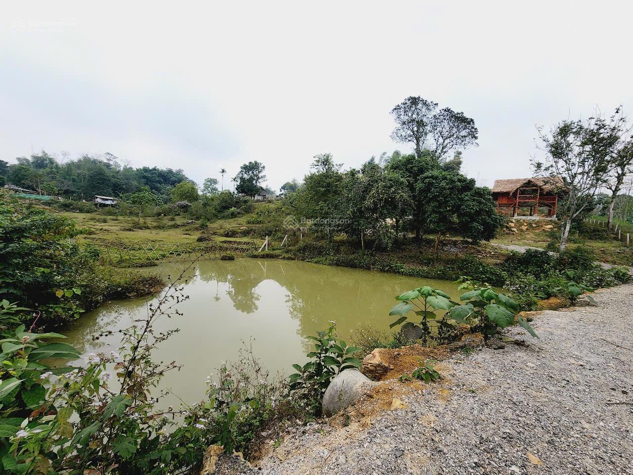 Chính chủ cần bán gấp lô đất diện tích 2800m2, sẵn nhà sàn đẹp Chính chủ cần bán gấp lô đất diện tích 2800m2, sẵn nhà sàn đẹp