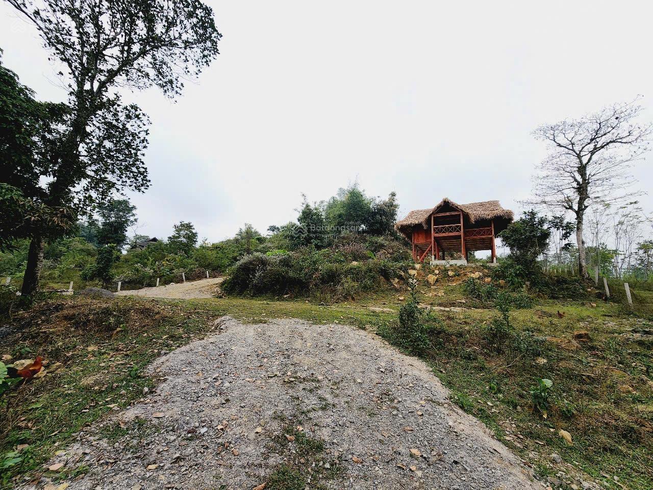 Chính chủ cần bán gấp lô đất diện tích 2800m2, sẵn nhà sàn đẹp Chính chủ cần bán gấp lô đất diện tích 2800m2, sẵn nhà sàn đẹp