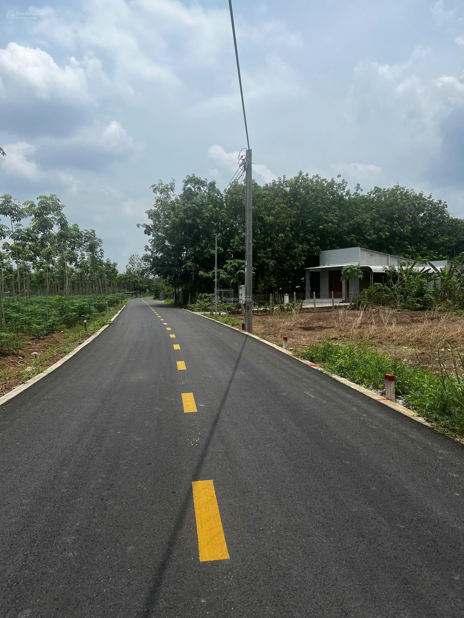 Chính chủ bán cắt lỗ 424m2 + 100m2 thổ cư giá full 535tr ngay công an xã An Linh, Phú Giáo, Tp. HCM