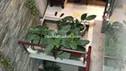 Định cư cần bán gấp biệt thự mini Bành Văn Trân P.7 Tân Bình, 110m2 5 tầng, giá 21,5 tỷ