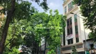 Bán tòa nhà MP Lò Đúc Hai Bà Trưng, lô góc đẹp hiếm, tiềm năng KD đỉnh giá 170 tỷ. LH: 0366 051 ***