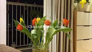 Bán CC I-Home 1, Phạm Văn Chiêu, 1,73 tỷ, 47m2, 2PN, 1WC, hướng Đông Nam