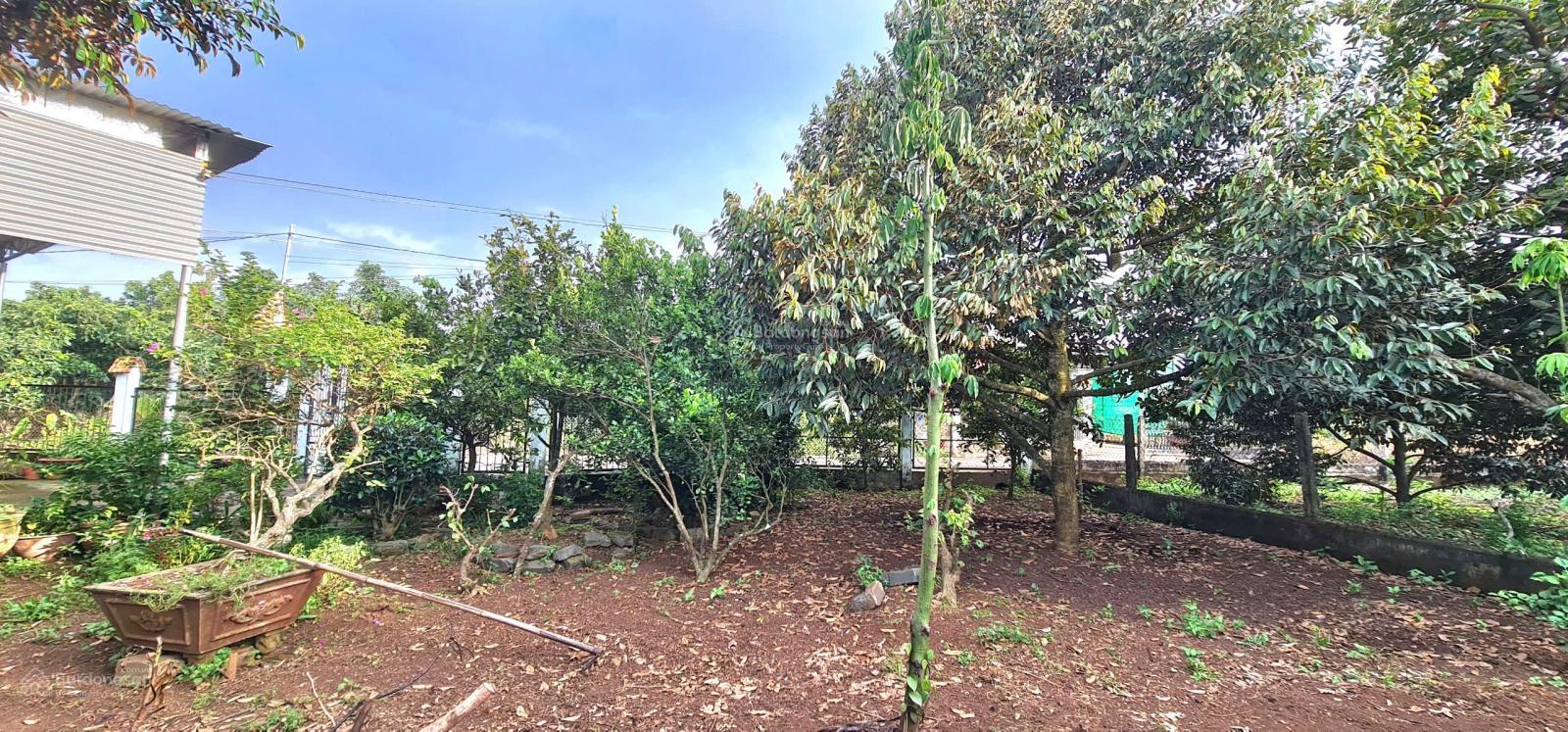 Bán Vườn Trái Cây view suối 2000m2, có 100m2 thổ cư trong Khu dân cư đường TL764, Cẩm Mỹ, Đồng Nai