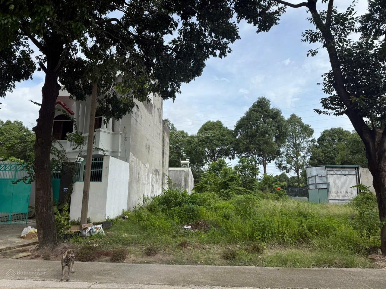 Chính chủ cần bán lô đất mặt tiền đường Phạm Hùng phường Bình Dương - TP Hồ Chí Minh