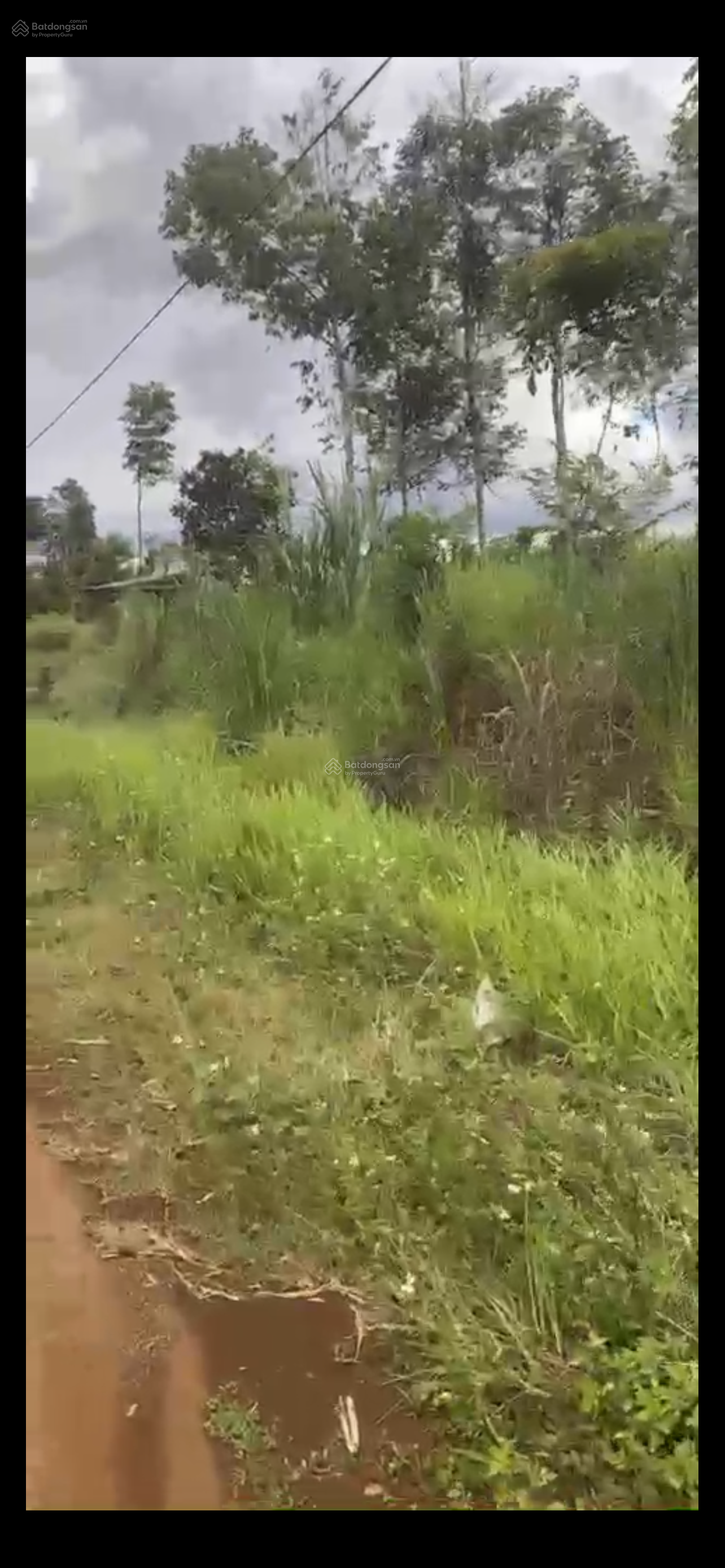 Xã Đắk RMoan, Gia Nghĩa, Đắk Nông, bán 2 nền sát nhau, mỗi nền diện tích 10*50m, 100m2 thổ cư