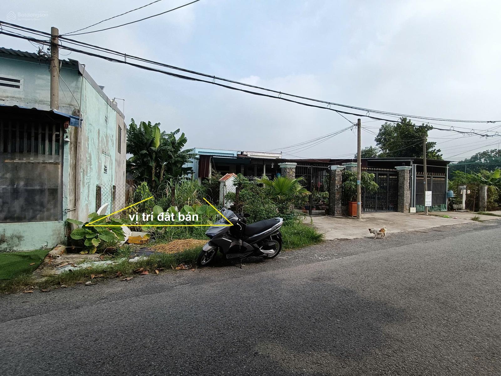 Bán đất mặt tiền đường Can Trường, Thị Trấn Củ Chi, 5x54m, DT 269m², thổ cư 200m², giá chỉ 4,98 tỷ