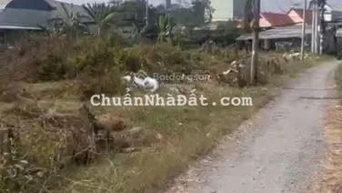 Bán gấp 2.200m2 đất 2 mặt tiền Đào Sư Tích và HXH, Xã Phước Lộc, Nhà Bè. Giá 50tr/m2. LH 0938 888 ***