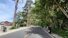 ĐẤT VIEW THÔNG XANH VĨNH VIỄN MẶT TIỀN NGAY DINH 1 NGANG 37, 5m