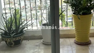 Giá 2.4tỷ bán chung cư Ngọc Lan Quận 7, 53m2 tầng cao, sổ hồng. (Thu Hà 0932 758 ***)