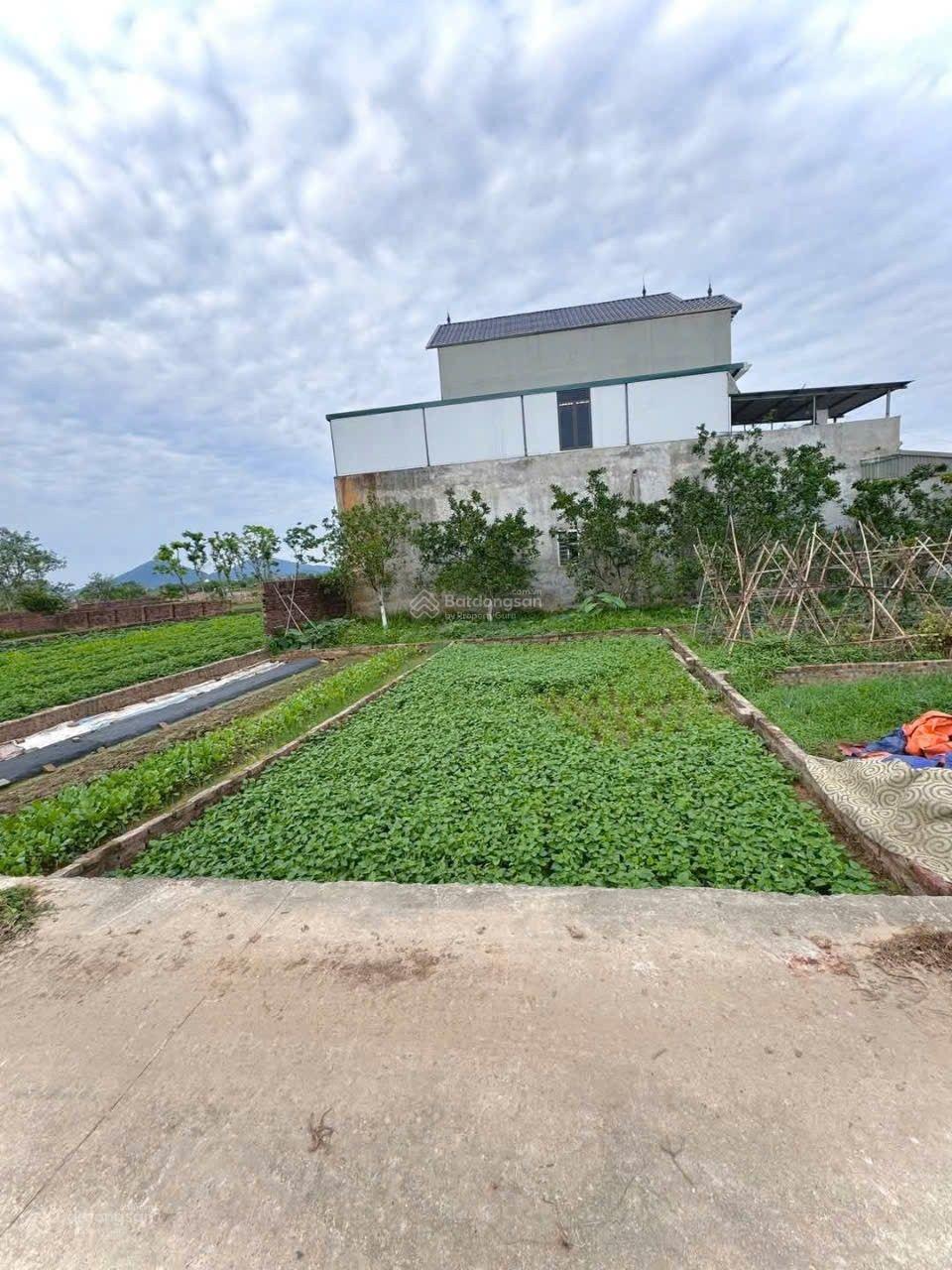 Bán đất ngay KCN Nội Bài, 1,73 tỷ, 48m2, ngõ thông 4m full TC hàng hiếm Bắc Thượng, Nội Bài