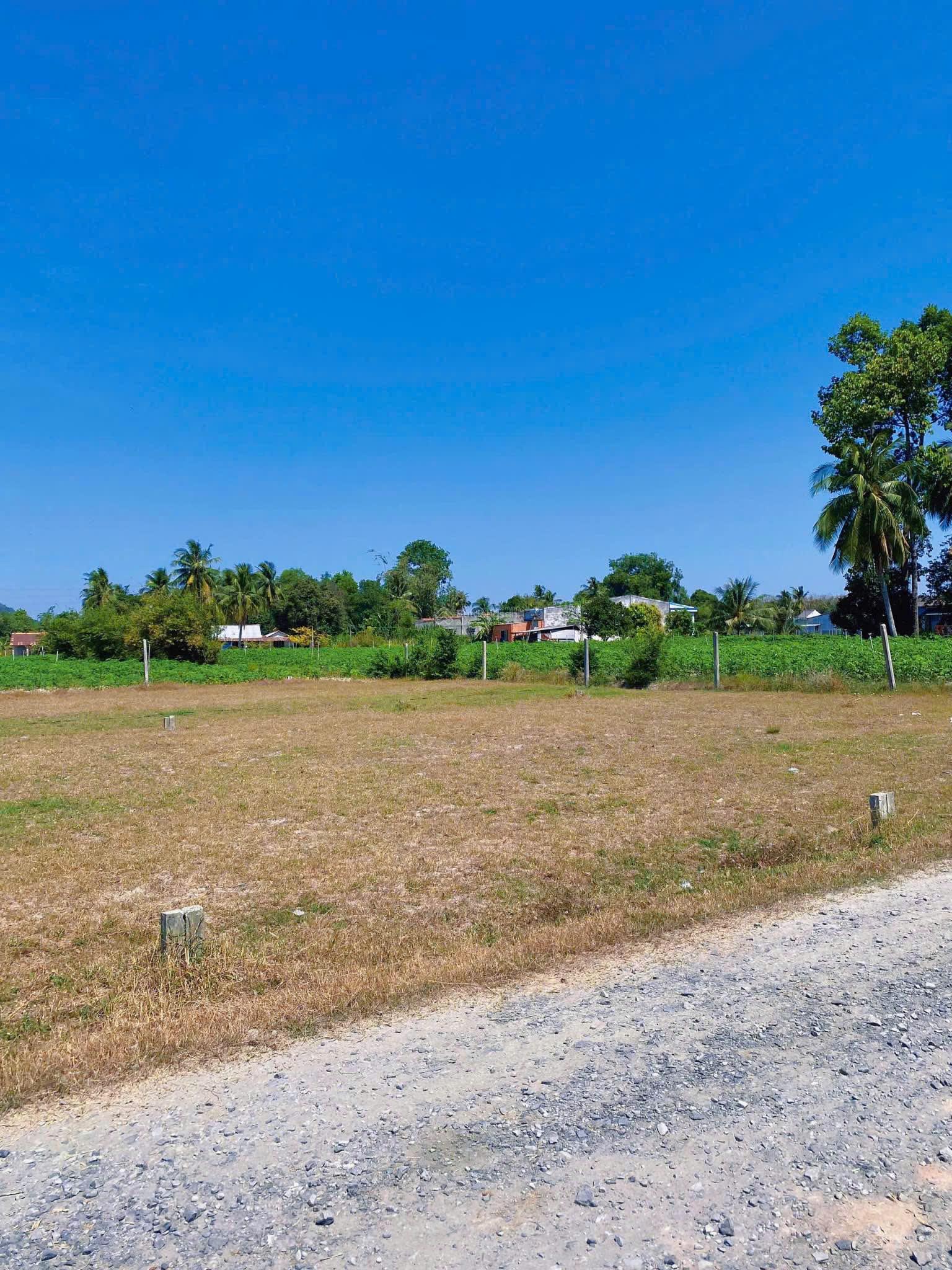 Lô đất tâm linh, view núi Bà chỉ 220 triệu/196m2 full thổ cư, MT 30m nhựa