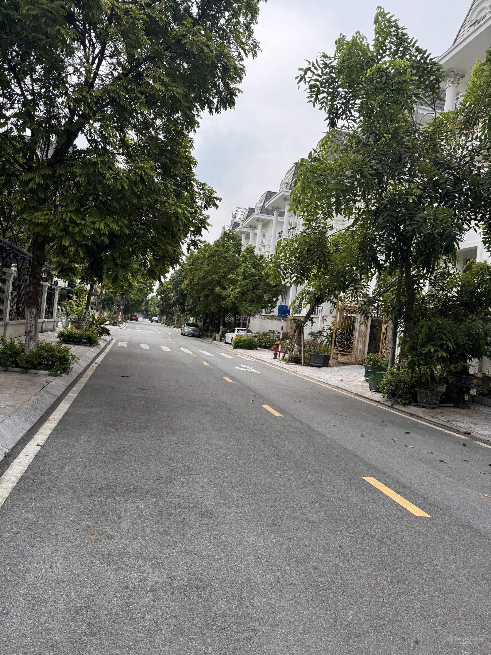 Bán biệt thự song lập diện tích 222m2 tại Lideco, Trạm Trôi, Hoài Đức, 21,7 tỷ giá ưu đãi