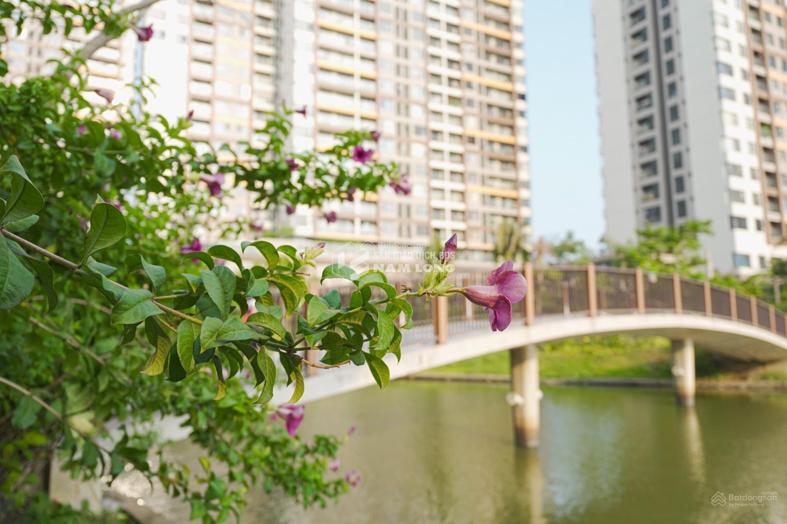 Căn hộ Mizuki Park chính thức nhận booking 50tr/căn khu căn hộ mới, trả góp 0%, ưu đãi 24 tháng
