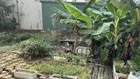 Chỉ 3.1 Tỷ, Bán lô đất đẹp tại Hải Bối, Đông Anh, Cách Cầu Thăng Long 500m, Gần trường Cấp 1.2.