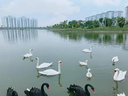 Cơ hội đầu tư an cư đắc địa tại khu A1.2 Thanh Hà