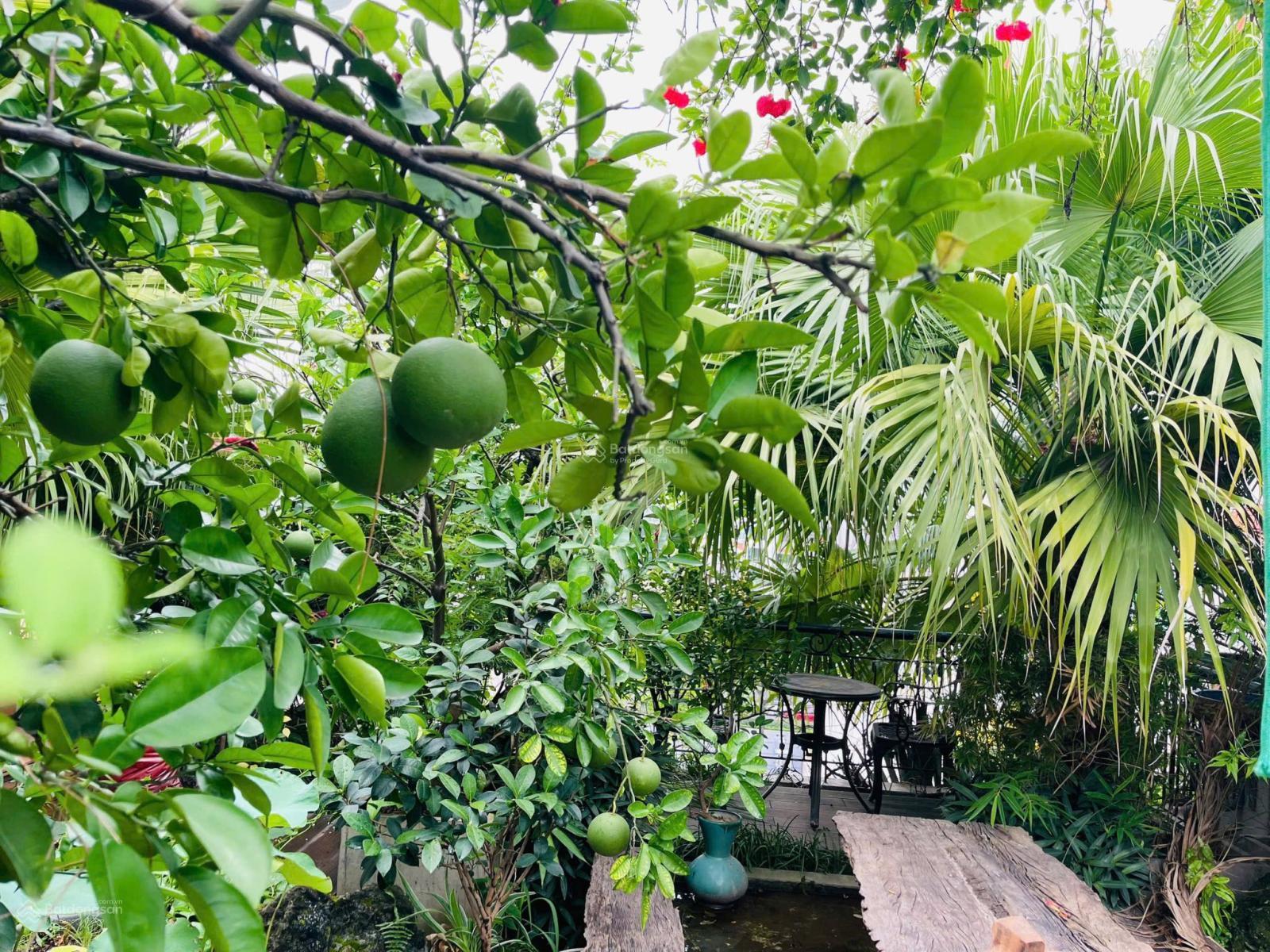 Bán biệt thự Vườn Đào Tây Hồ 105m2 view công viên, giá 52 tỷ. LH: 0917 673 ***