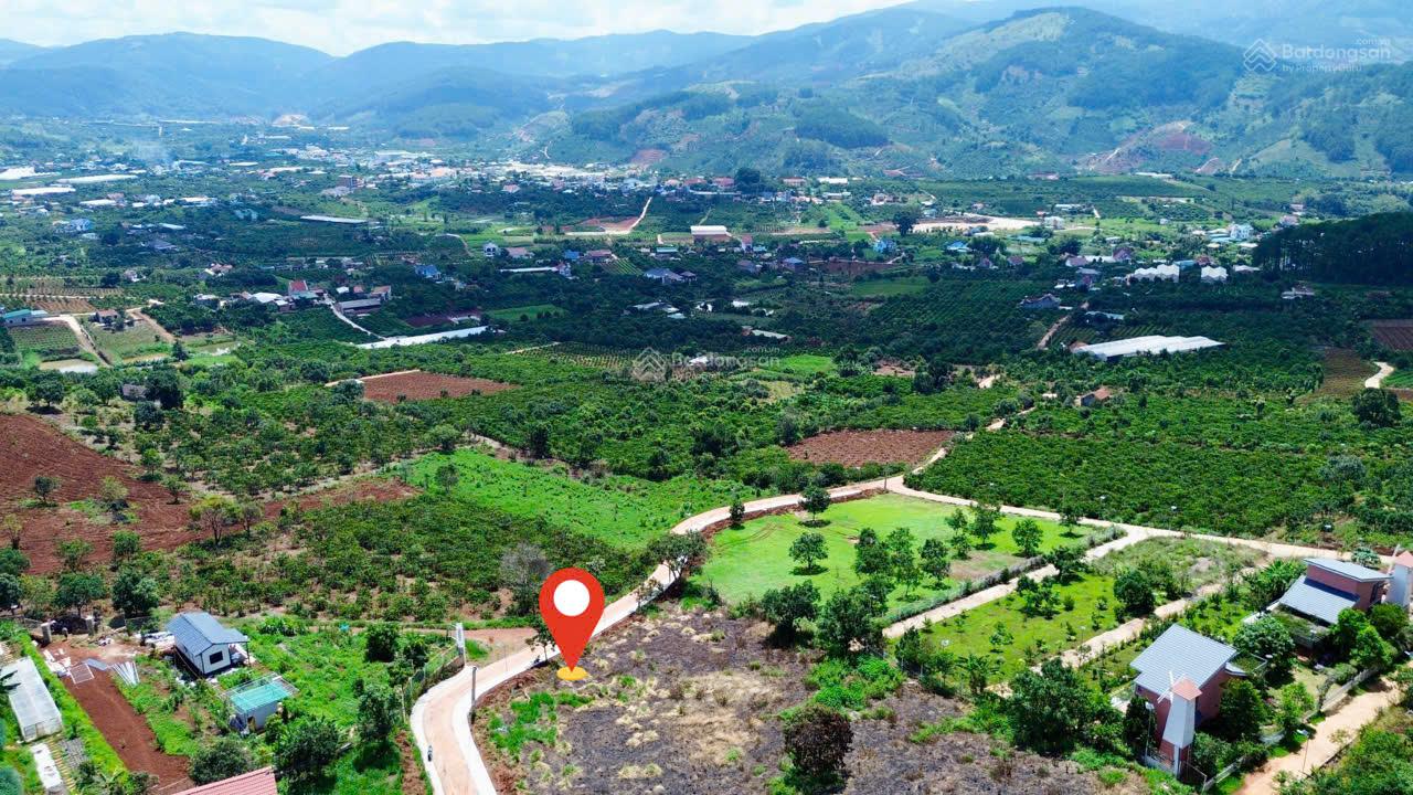 Bán đất full thổ cư Mê Linh, Đà Lạt 120m² - 2 mặt tiền đường lớn - view đồi thông siêu đẹp Bán đất full thổ cư Mê Linh, Đà Lạt 120m² - 2 mặt tiền đường lớn - view đồi thông siêu đẹp