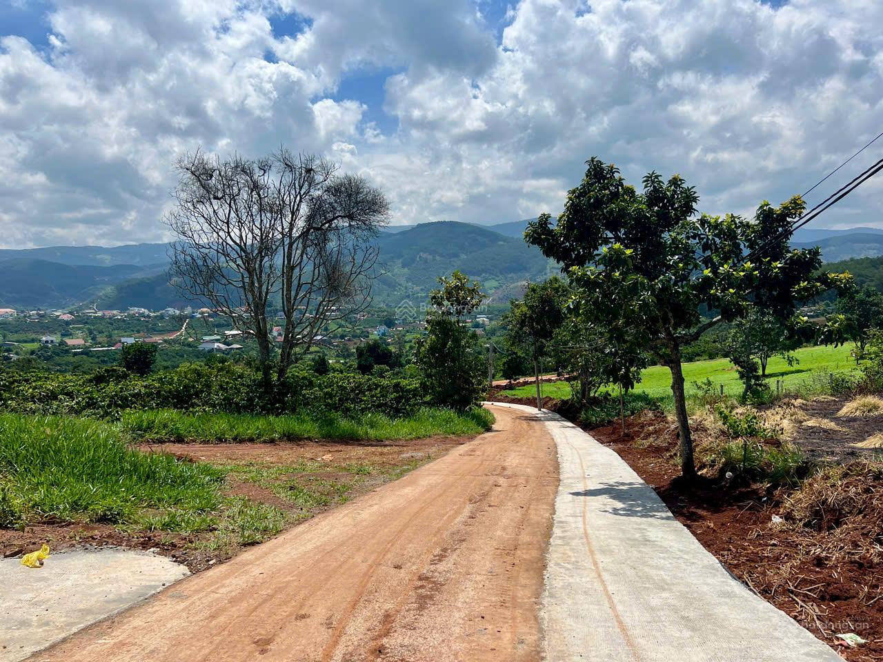 Bán đất full thổ cư Mê Linh, Đà Lạt 120m² - 2 mặt tiền đường lớn - view đồi thông siêu đẹp Bán đất full thổ cư Mê Linh, Đà Lạt 120m² - 2 mặt tiền đường lớn - view đồi thông siêu đẹp