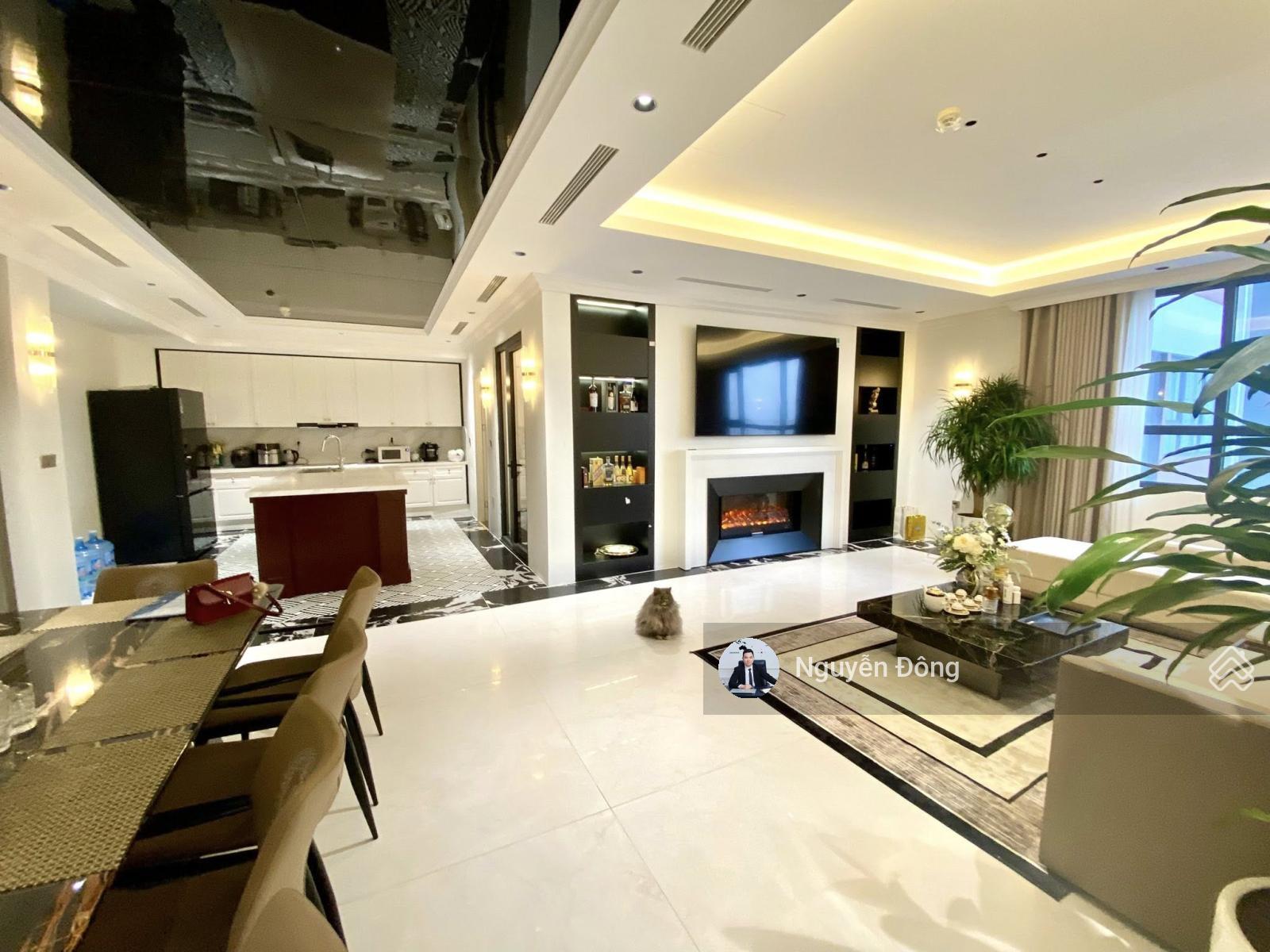 Chính chủ bán căn góc 162m2 full nội thất siêu đẹp tại The Diamond Residence 25 Lê Văn Lương
