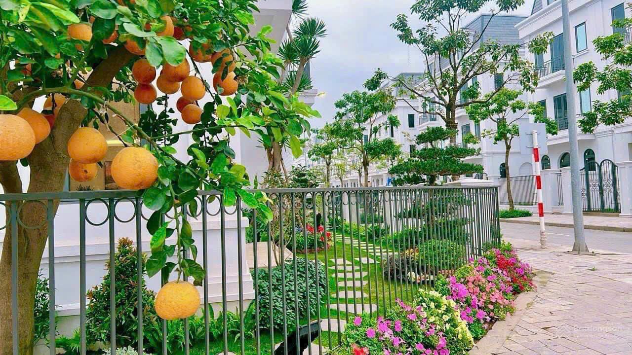 List căn chủ gửi bán Vin Green Villas đa dạng diện tích - giá cực tốt - pháp lý chuẩn - xem là ưng