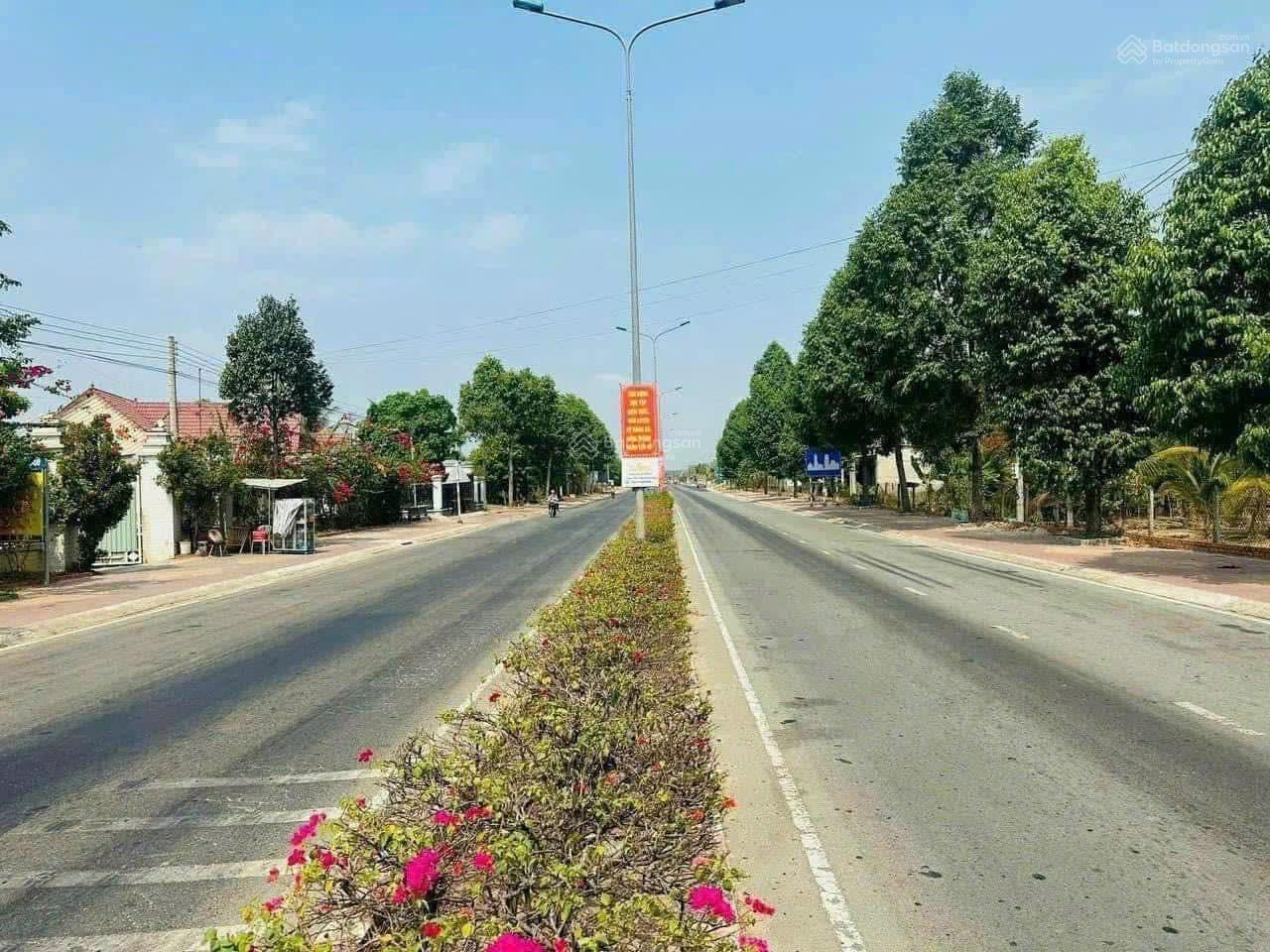 Bán đất tại Định Thành, Dầu Tiếng, Bình Dương, giá siêu hời chỉ với 8 tỷ, 4600 m2