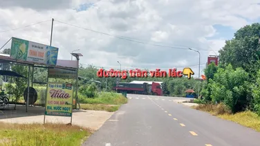 Bán đất tại Định Thành, Dầu Tiếng, Bình Dương, giá siêu hời chỉ với 8 tỷ, 4600 m2