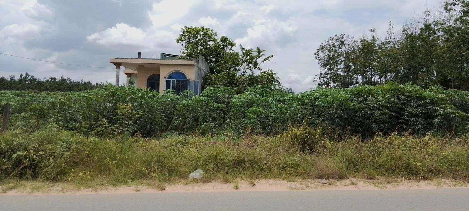 SIÊU HIẾM ĐẤT VIEW HỒ, ĐÃ THUỘC TP.HCM GIÁ CHỈ ~1,4 TRIỆU/M MẶT TIỀN DT-749B KHÔNG MUA LÀ MẤT