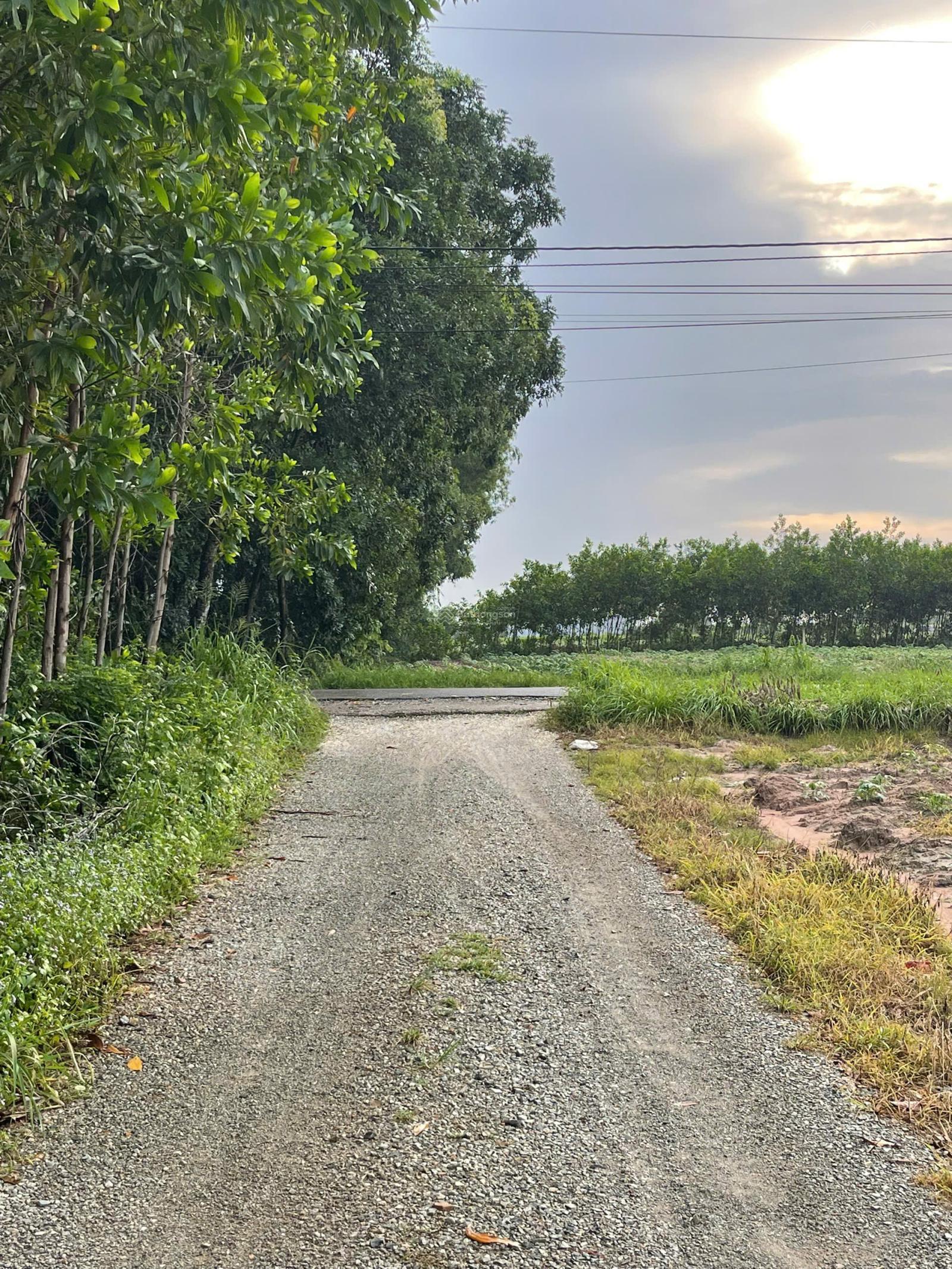 Cần bán lô đất KP4 Hắc Dịch - phường Tân Thành. TP Hồ Chí Minh