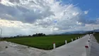 Cần bần 1,200 m2 đất lúa view sông gần HL39 Diên Khánh đường bê tông tới đất có sổ đỏ chỉ 350 triệu