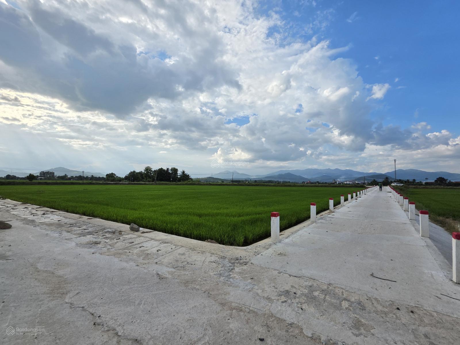 Cần bần 1,200 m2 đất lúa view sông gần HL39 Diên Khánh đường bê tông tới đất có sổ đỏ chỉ 350 triệu