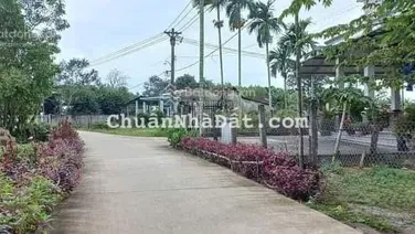 10x25m: Đất và nhà có tặng kèm khoảng 300m2 đất vườn tổng DT 600m2