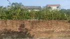 RẺ NHẤT MỄ SỞ! Chỉ 27tr/90x2m2 ngay Cầu vành đai 4, đường thông 2 ô tô tránh, 0961 532 ***