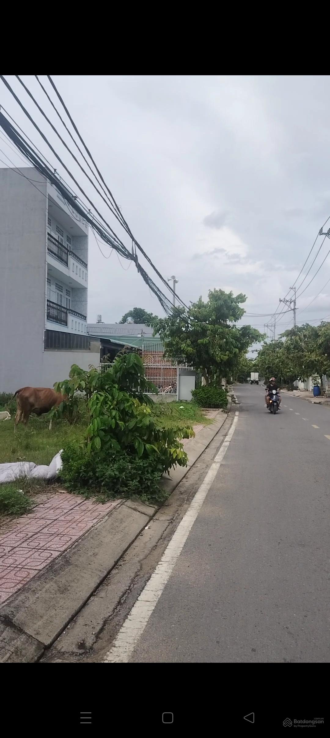 Bán lô đất thổ cư 217m2 mặt tiền đường Tân Hiệp 4 Hóc Môn Bán lô đất thổ cư 217m2 mặt tiền đường Tân Hiệp 4 Hóc Môn