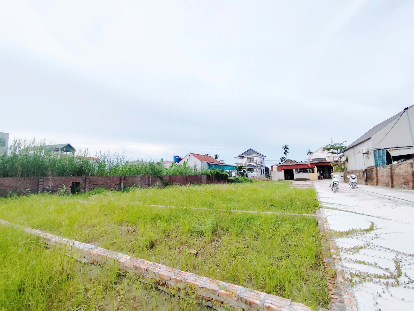 Mỏ vàng mới xã Tân Dĩnh, tỉnh Bắc Ninh cả nhà ơi