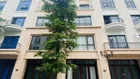 Chủ nhà bán gấp căn Hải Âu diện tích 65m2, mặt tiền 5m, hoàn thiện 2 tầng (đồ đẹp xịn)