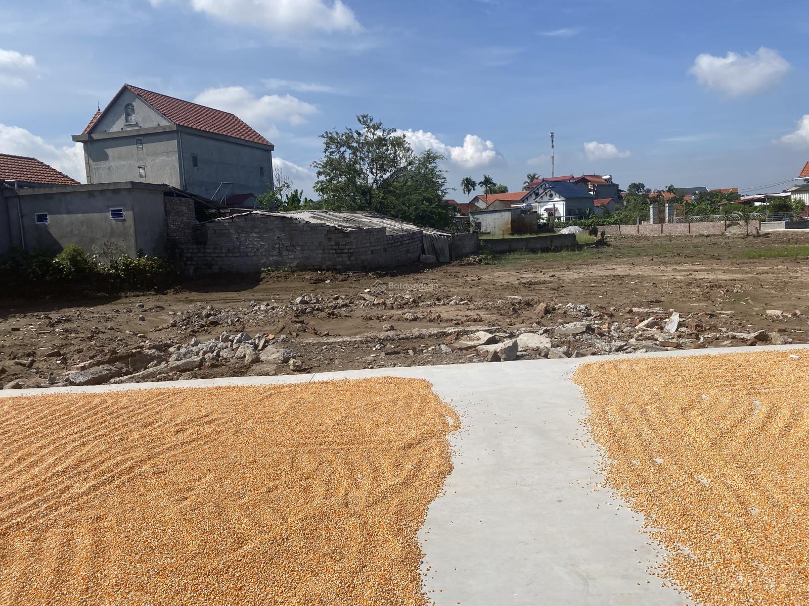 Bán đất tại xã Minh Tân, Huyện Lương Tài, Bắc Ninh, 1,1 tỷ, 106,9m2 đường thông tứ tung