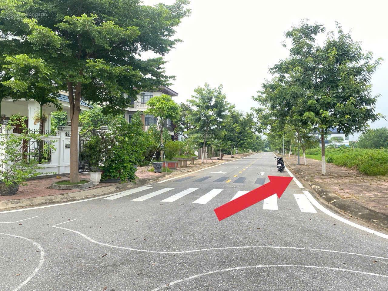 300m2 biệt thự siêu vip Nam Vĩnh Yên giá cực tốt