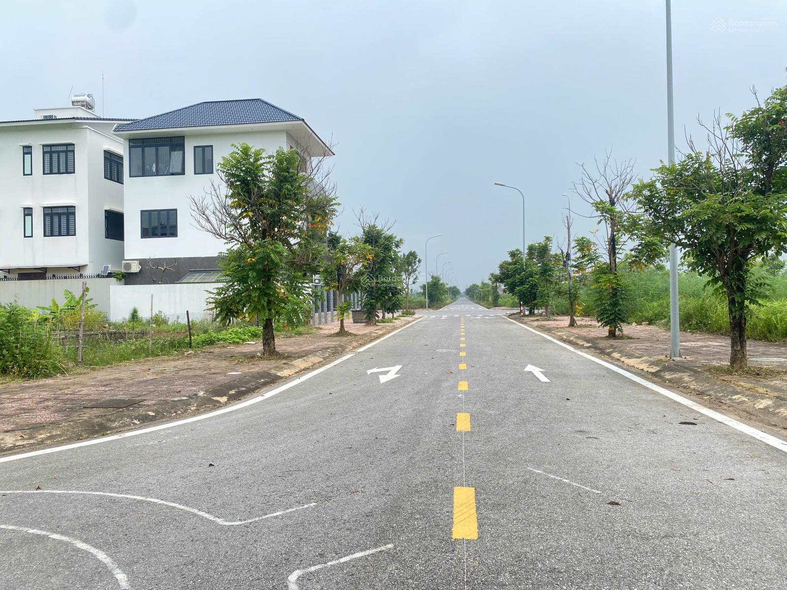 300m2 biệt thự siêu vip Nam Vĩnh Yên giá cực tốt