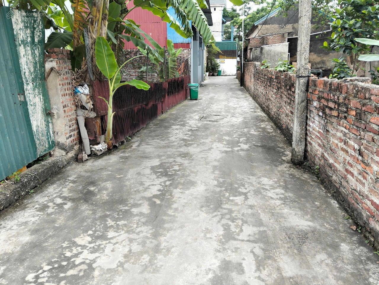 Bán đất tại Đường Mai Đình, Xã Mai Đình, Sóc Sơn, Hà Nội, 99m2 Full thổ cư, hàng hot giá hiếm
