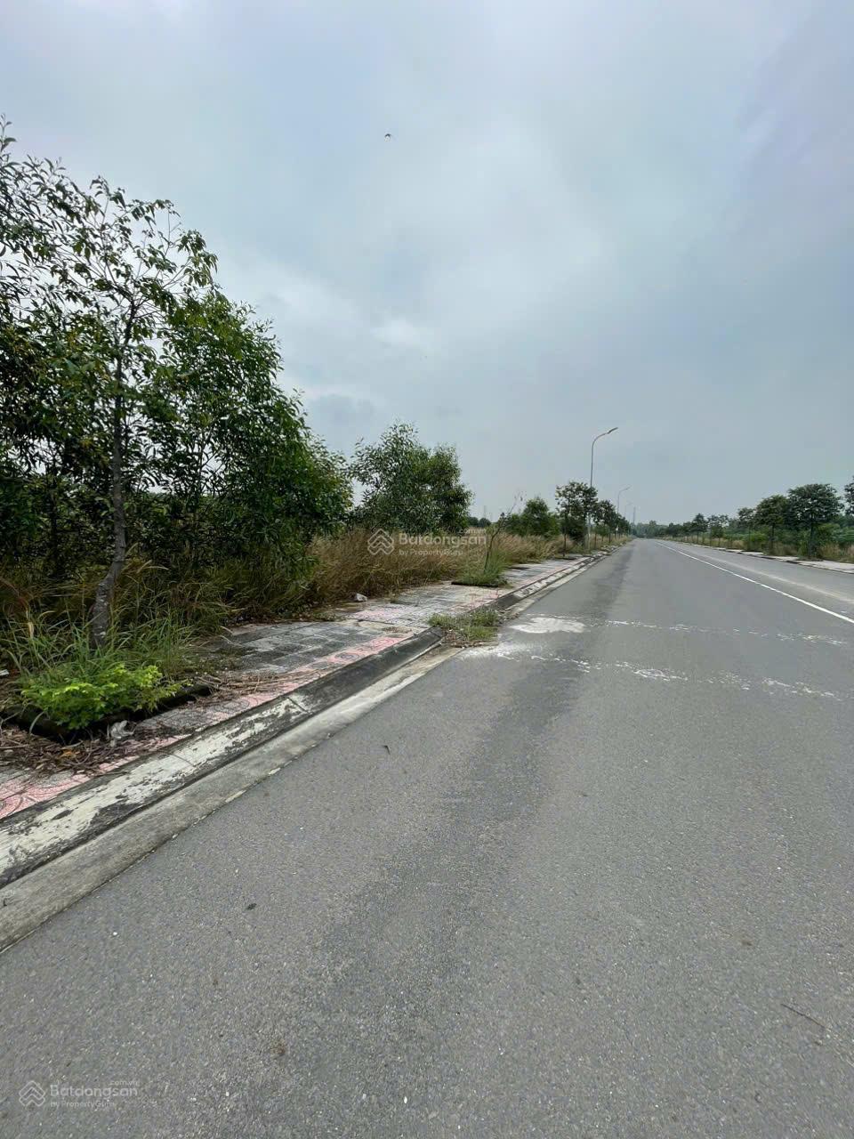 CHÍNH CHỦ BÁN ĐẤT TĐC TÂN PHƯỚC PHƯỜNG PHÚ MỸ , TP HỒ CHÍ MINH