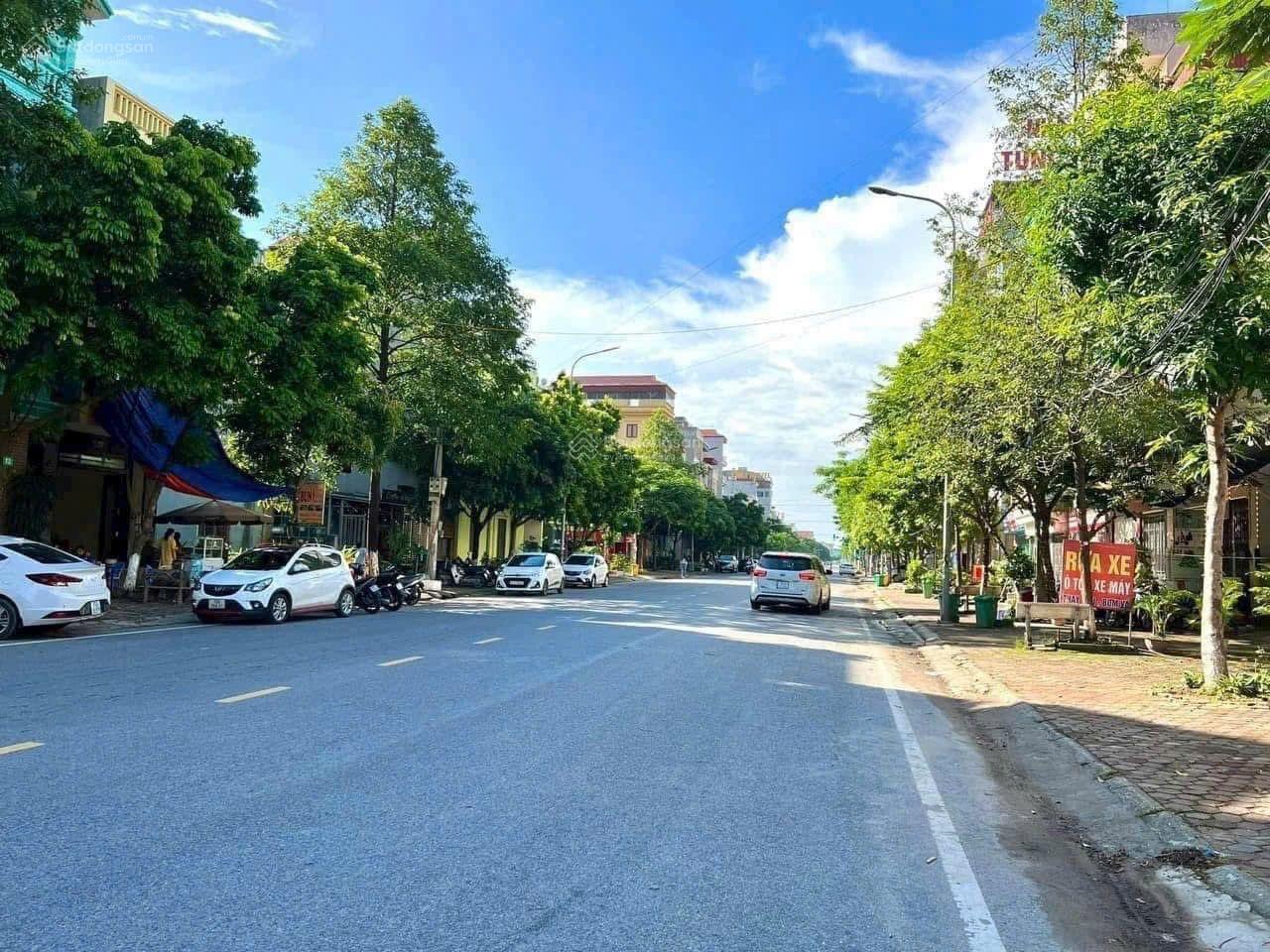 Vị trí kinh doanh hiếm có trục chính Hoàng Hoa Thám Võ Cường diện tích: 81m2 | mặt tiền: 4.5m
