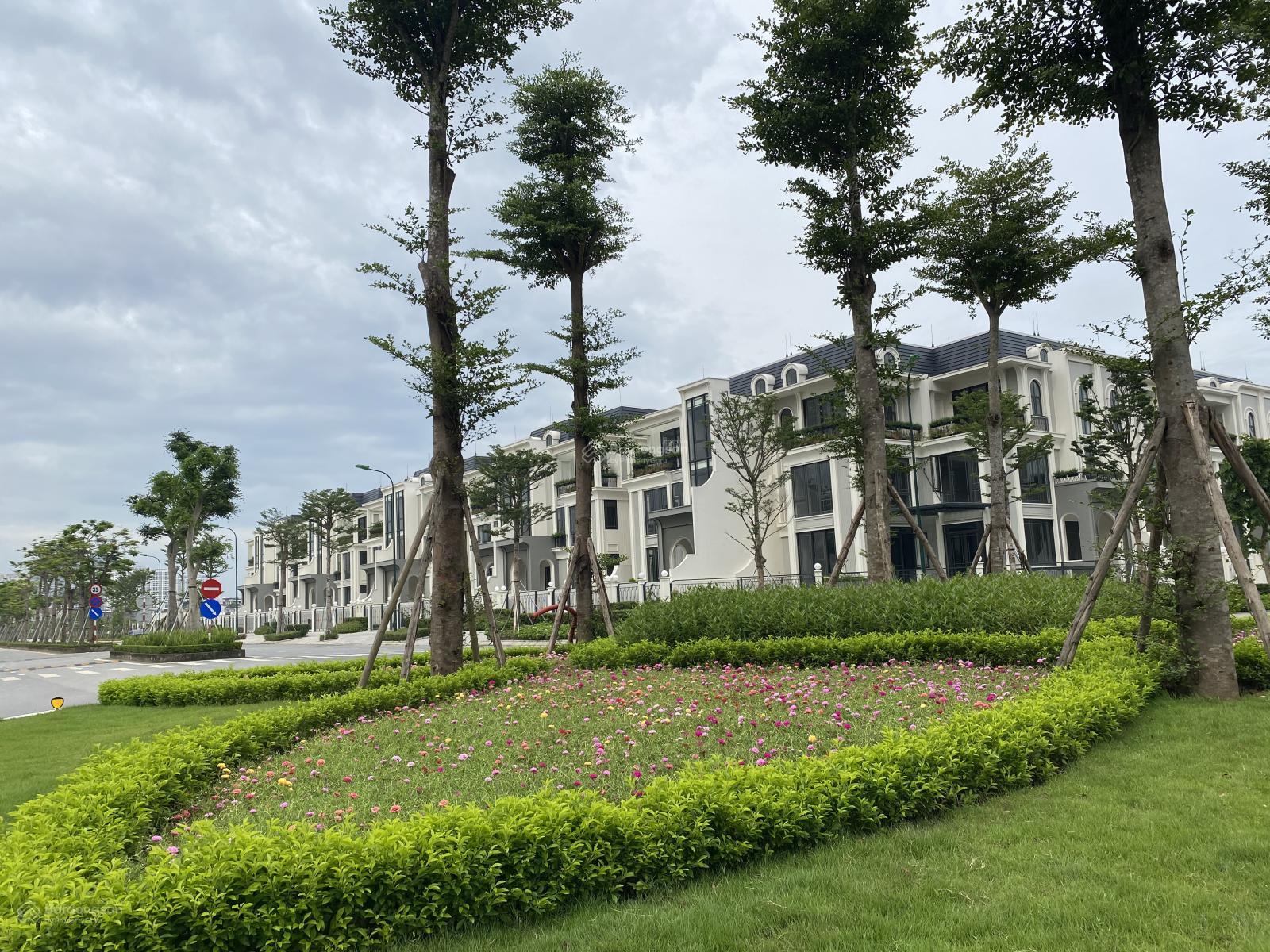 Hàng ngoại giao Ciputra Nguyễn Văn Huyên kéo dài: Hàng mới, căn đẹp giá rẻ khu P mới ra. Giá 40 tỷ Hàng ngoại giao Ciputra Nguyễn Văn Huyên kéo dài: Hàng mới, căn đẹp giá rẻ khu P mới ra. Giá 40 tỷ