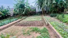 BÁN LÔ ĐẤT ĐẸP 70m DƯƠNG QUANG, GIA LÂM GIÁ CHỈ 3 TỶ 3