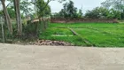 Siêu phẩm đất Đỗ Động (Thanh Oai) đường rộng 5m hai ô tô tránh, chạy thông